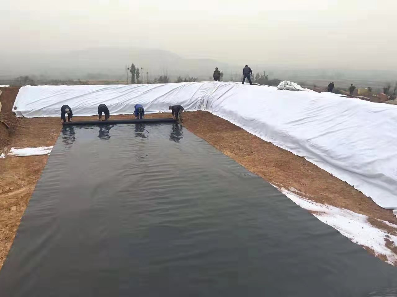  為何通常推薦養(yǎng)殖大戶應(yīng)用黑色的土工膜？